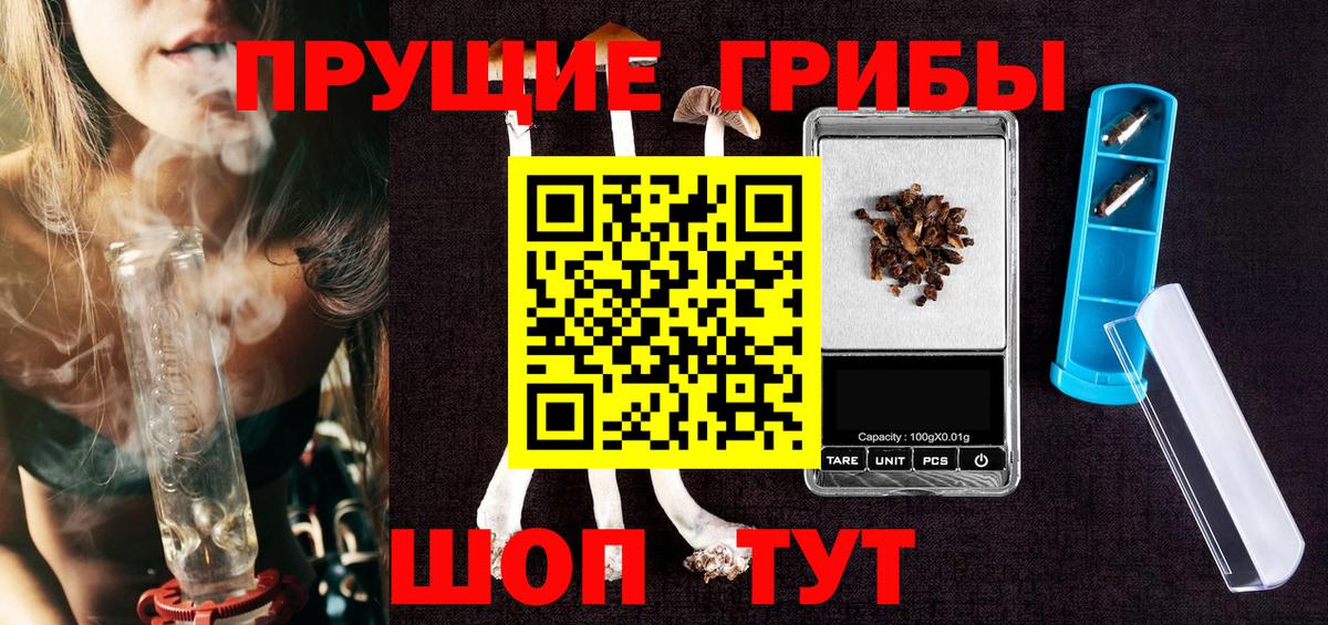 Псилоцибиновые грибы Psilocybe Валуйки