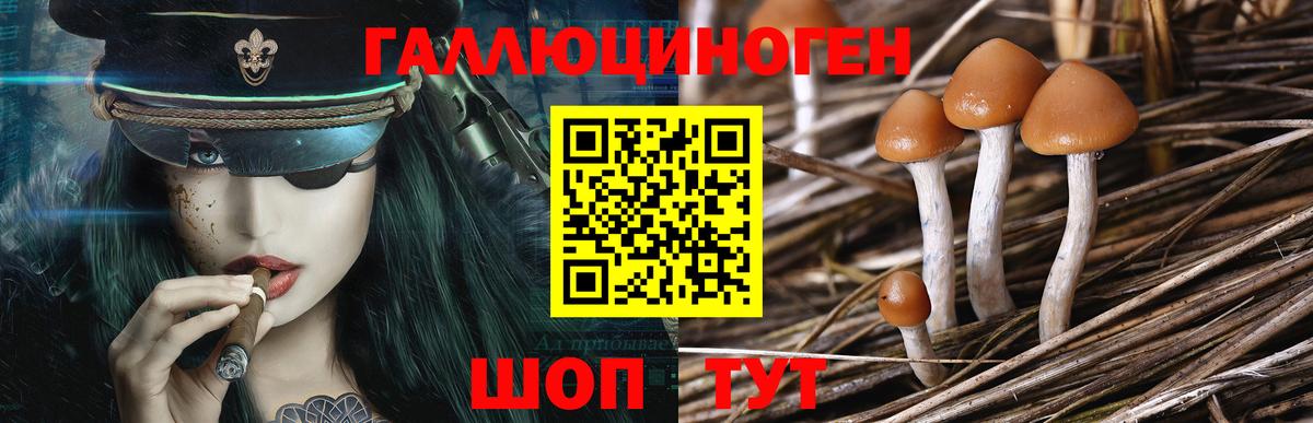 Псилоцибиновые грибы мицелий  Валуйки 