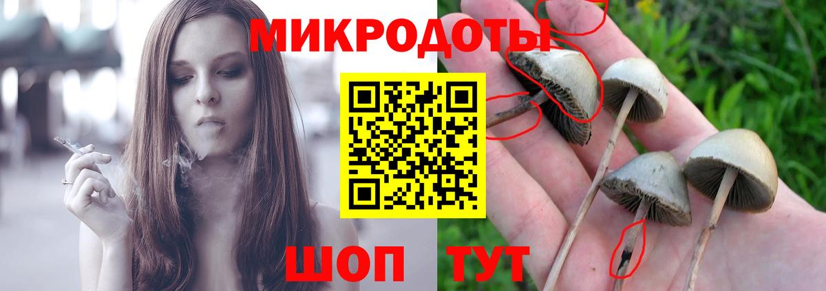 Валуйки  Псилоцибиновые грибы Psilocybe  Вход с VPN  Псилоцибиновые грибы Psilocybe 